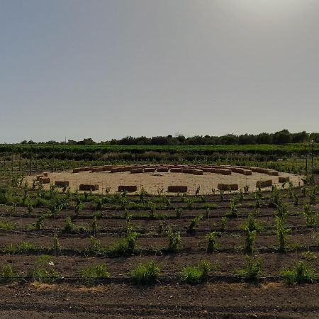 Cozzo Del Parroco - Ospitalita Tra I Vigneti Villa Granelli Exterior photo