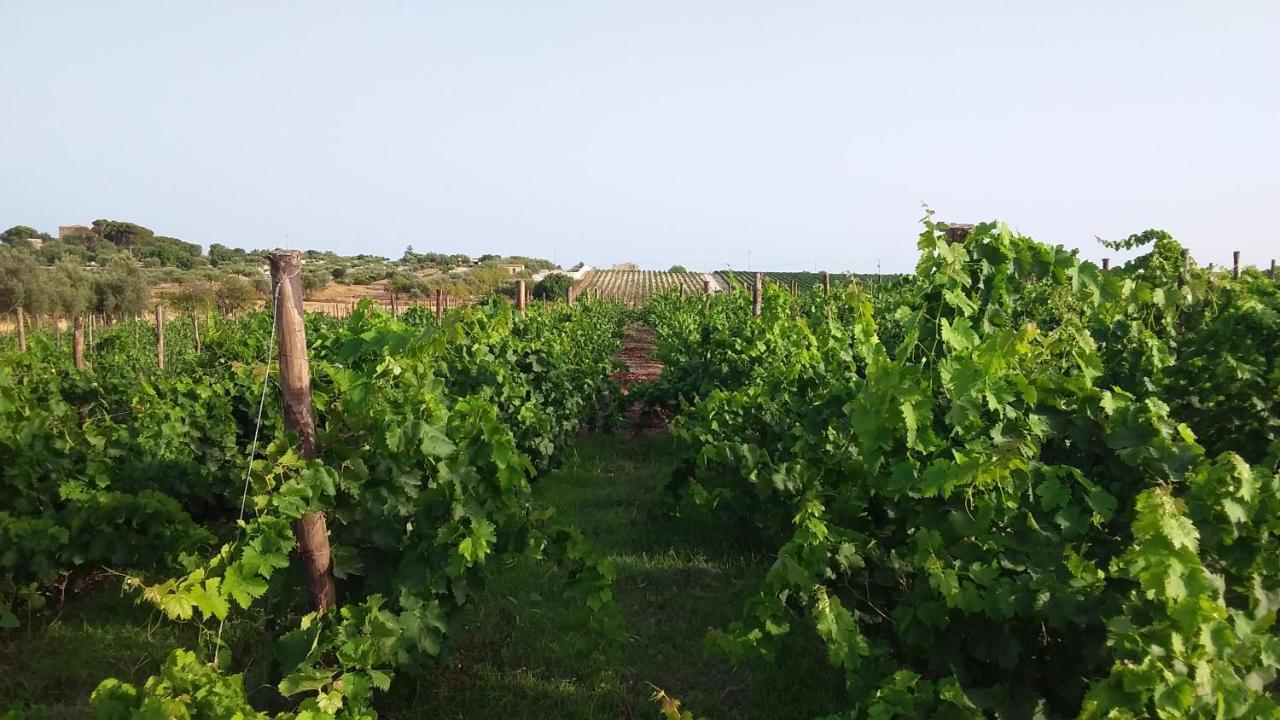 Cozzo Del Parroco - Ospitalita Tra I Vigneti Villa Granelli Exterior photo