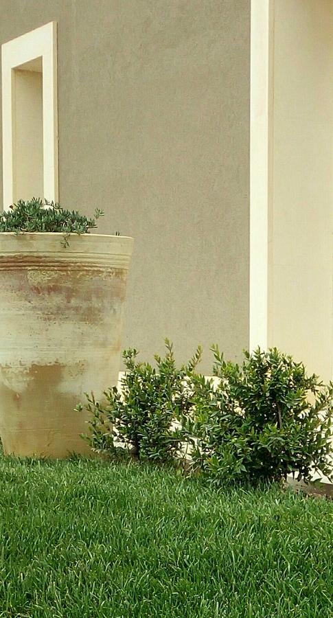 Cozzo Del Parroco - Ospitalita Tra I Vigneti Villa Granelli Exterior photo